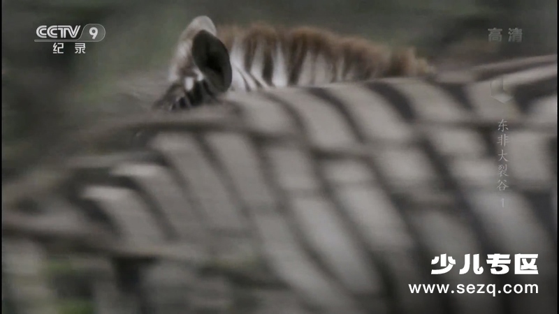 东非大裂谷 美丽的非洲心脏 - 动画资源画廊第5张