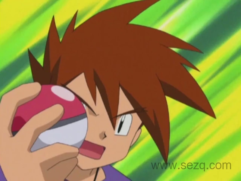 精灵宝可梦：无印篇 - 动画资源画廊第8张