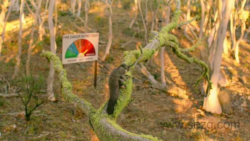 小小世界 - 动画资源画廊第9张