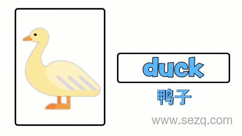 青果双语动物认知 - 动画资源画廊第6张