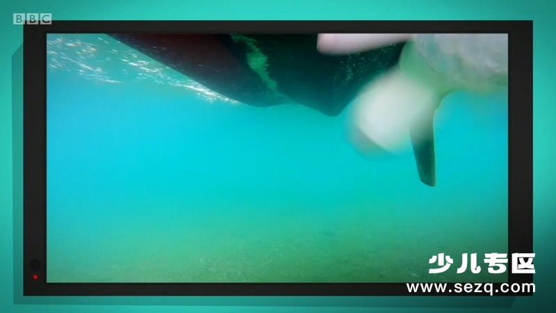 你知道吗？ - 动画资源画廊第2张