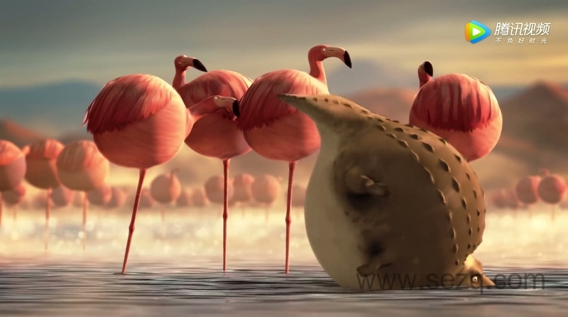 圆滚滚的动物世界 - 动画资源画廊第6张