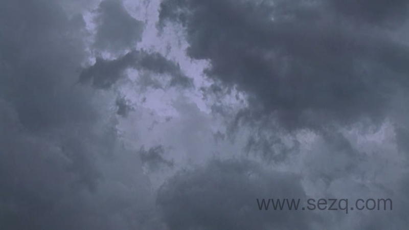 安迪的史前冒险 - 动画资源画廊第7张