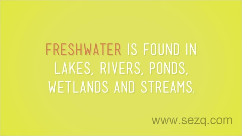 Crash Course Kids - 动画资源画廊第2张