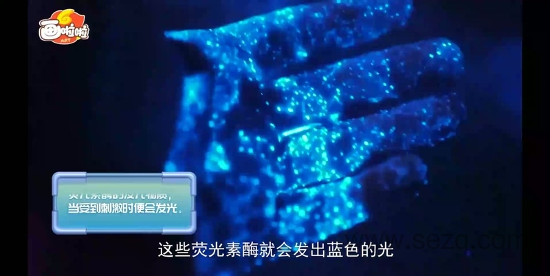 海底世界总动员 - 动画资源画廊第6张