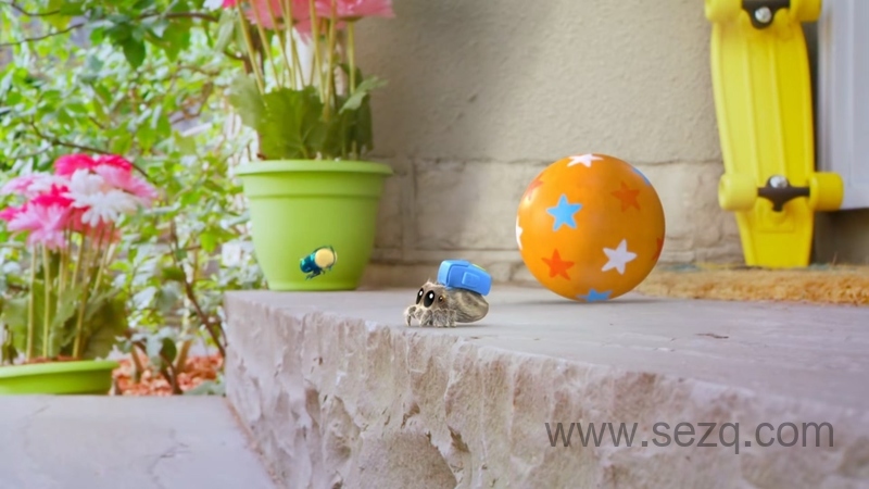 小蜘蛛卢卡斯 - 动画资源画廊第8张