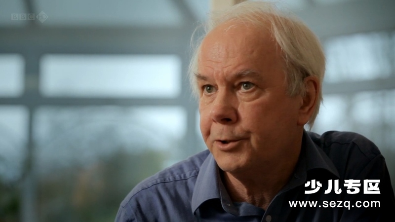 万物与虚无 - 动画资源画廊第7张