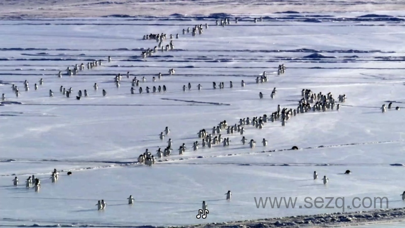 地球星球 - 动画资源画廊第6张