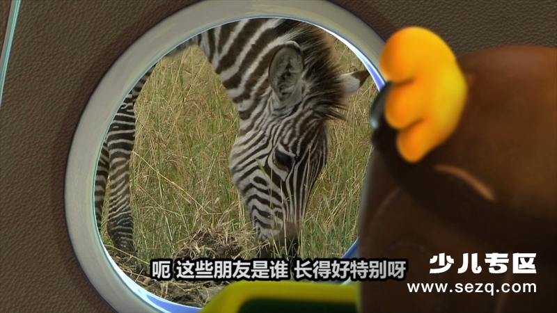 奇奇探险队 - 动画资源画廊第2张