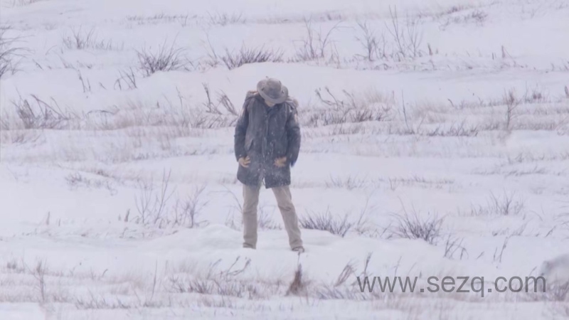 安迪的旅行冒险 - 动画资源画廊第4张