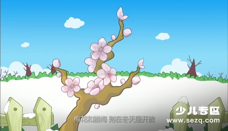 MOMOKING素质早教微课 - 动画资源画廊第7张