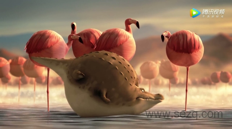 圆滚滚的动物世界 - 动画资源画廊第8张