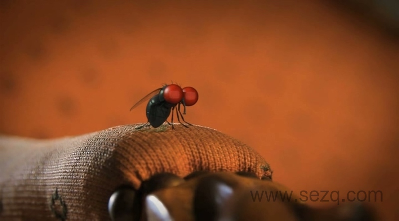 昆虫小世界 - 动画资源画廊第2张