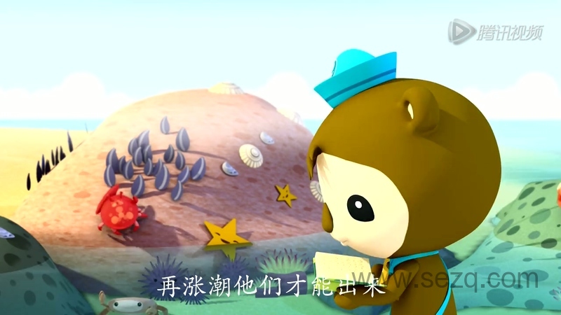 海底小纵队 - 动画资源画廊第3张