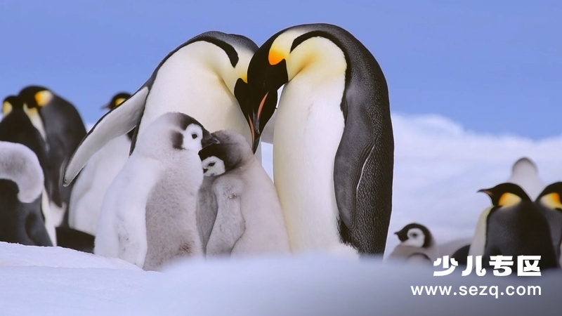 怪诞星球 - 动画资源画廊第3张