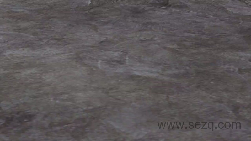 帮帮龙出动之恐龙探险队 - 动画资源画廊第7张