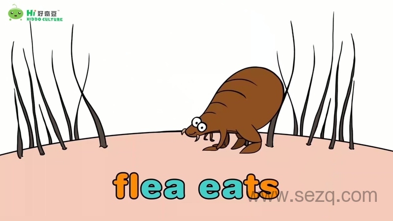 自然拼读小课堂 - 动画资源画廊第8张