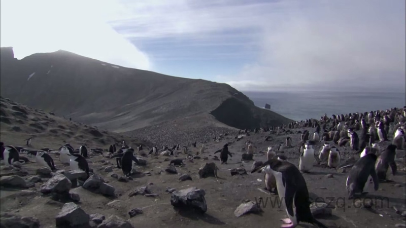 安迪的野外冒险 - 动画资源画廊第4张