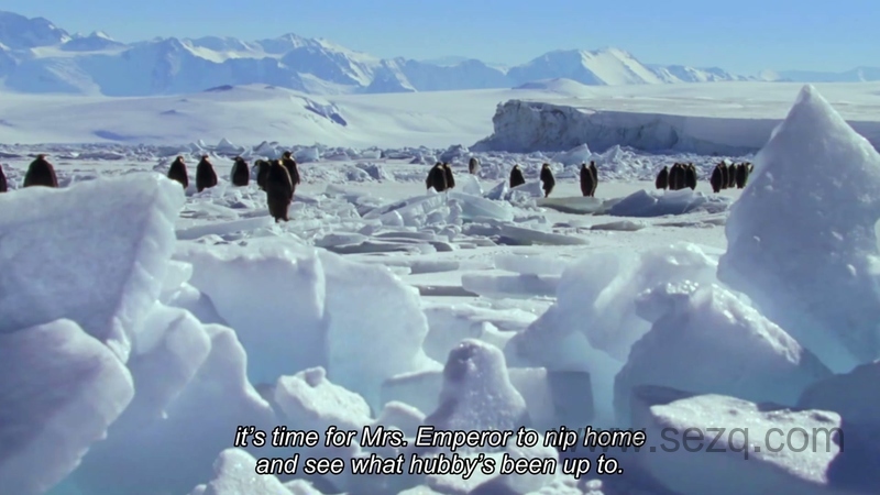 地球星球 - 动画资源画廊第5张