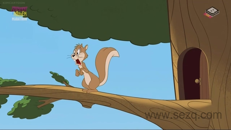 新猫和老鼠 - 动画资源画廊第2张