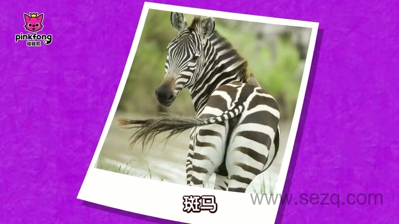 碰碰狐之动物儿歌 - 动画资源画廊第4张