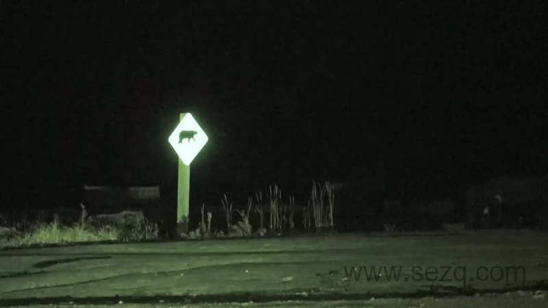 北极行动 - 动画资源画廊第3张