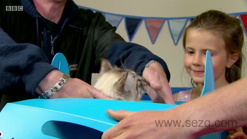 萌宠与我 - 动画资源画廊第2张