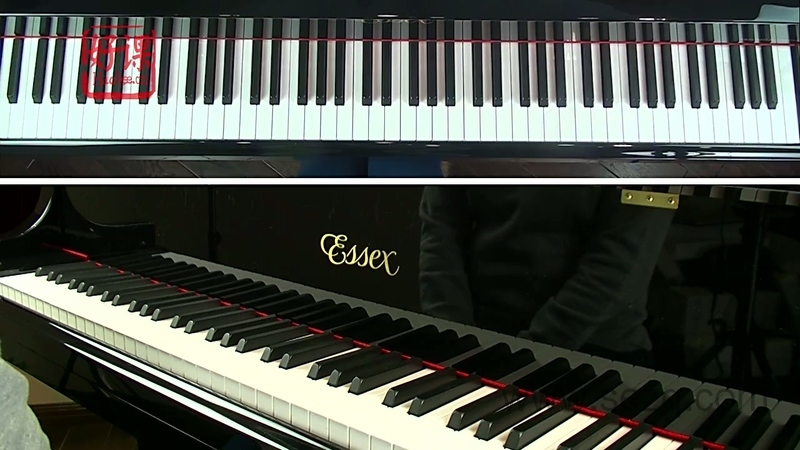 好课小汤幼儿钢琴课程 - 动画资源画廊第5张