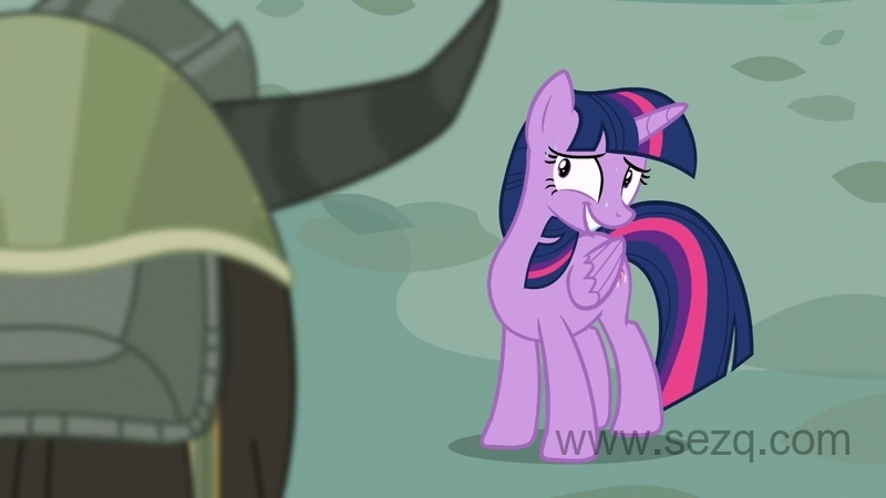 我的小马驹：友谊是魔法 - 动画资源画廊第6张