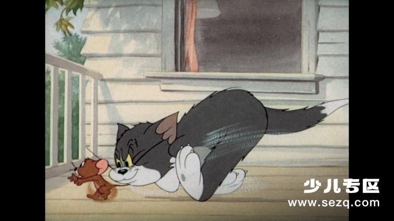 猫和老鼠黄金合集 - 动画资源画廊第5张