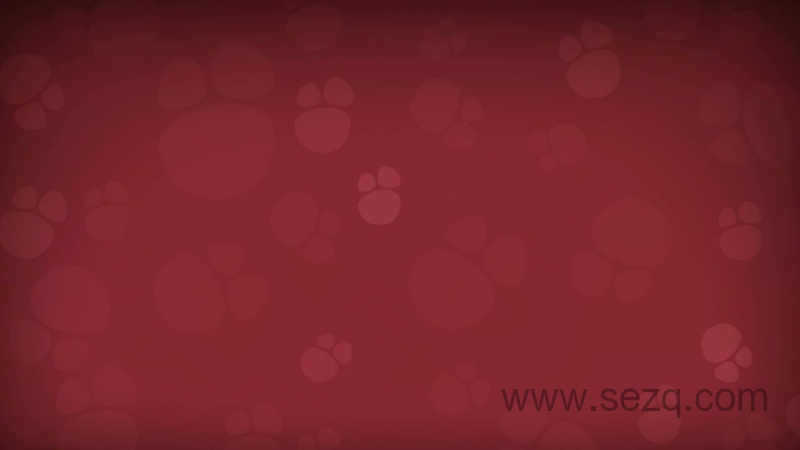 奇宝萌兵 - 动画资源画廊第7张