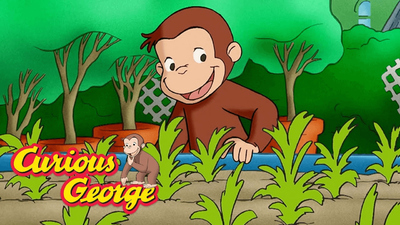 环球经典动画《好奇猴乔治 Curious George》第十季 国语版15集+英语版15集 全15集MP4下载 - 少儿专区