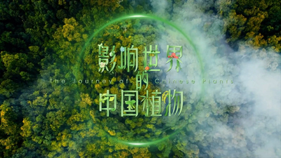 国产科普纪录片《影响世界的中国植物 The Chinese Plants That Changed the World》第一季 国语版 全10集MP4下载 - 少儿专区