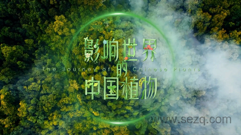 影响世界的中国植物 - 动画资源画廊第1张