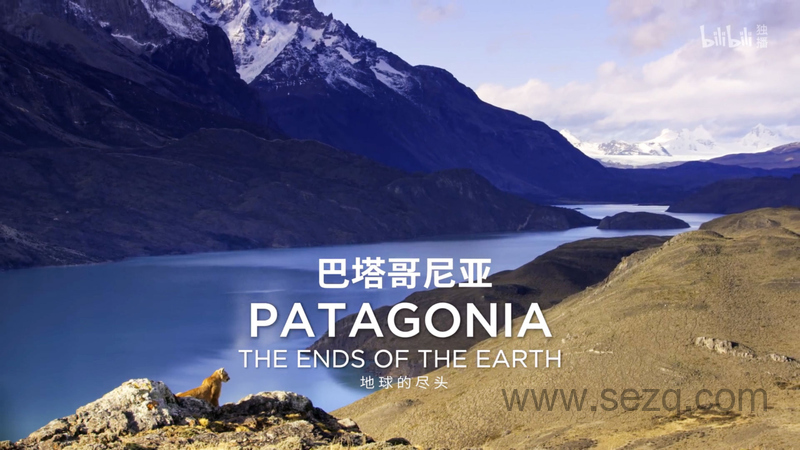 野性巴塔哥尼亚 - 动画资源画廊第1张