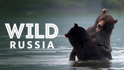 自然纪录片《野性俄罗斯 Wild Russia》第一季 英语版 全6集MVB下载 - 少儿专区