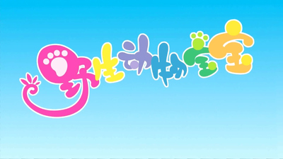 BBC动画片《野生动物宝宝 Baby Wild Animals》第一季 国语版 全80集MP4下载 - 少儿专区