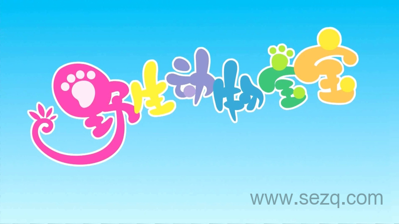 野生动物宝宝 - 动画资源画廊第1张