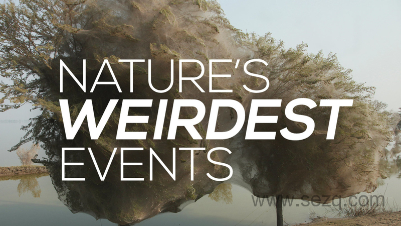 自然界最怪异的事件 - 动画资源画廊第1张