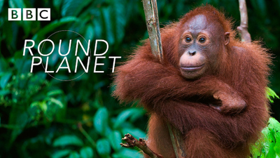 BBC纪录片《地球星球 Round Planet》第一季 英语英字 全10集MP4下载 - 少儿专区