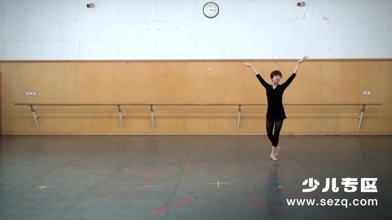 快乐芭蕾ZiZiBalle - 动画资源画廊第1张