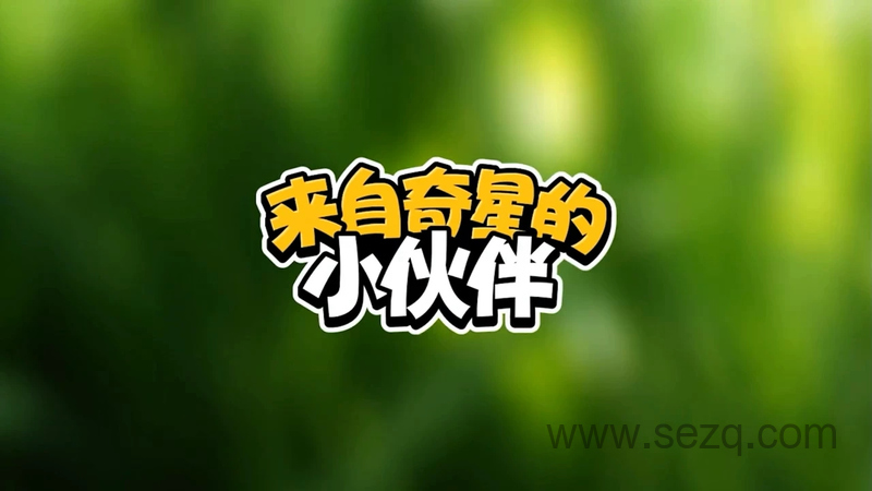 来自奇星的小伙伴 - 动画资源画廊第1张