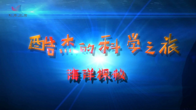 国产科普动画《酷杰的科学之旅海洋探秘 Cool J's Science Journey: Ocean Exploration》第一季 国语版 全15集MP4下载 - 少儿专区