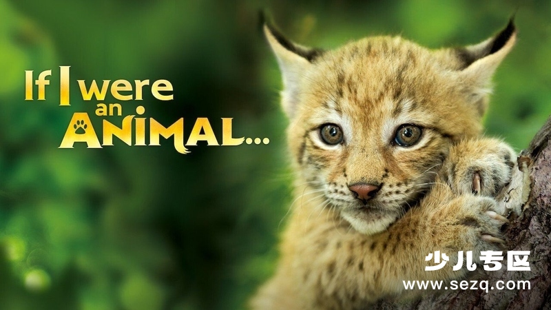 如果我是一只动物 - 动画资源画廊第1张