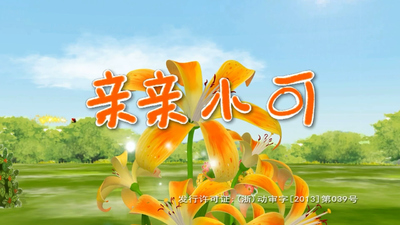 国产动画片《亲亲小可》第一季 国语版 全52集MP4下载 - 少儿专区