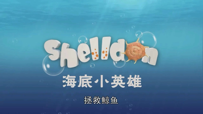 国产少儿动画《海底小英雄 Shelldon》第一季 国语版 全78集MP4下载 - 少儿专区