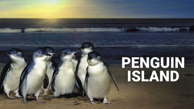 BBC动画片《企鹅岛 Penguin Island》第一季 英语英字 全6集MKV下载 - 少儿专区