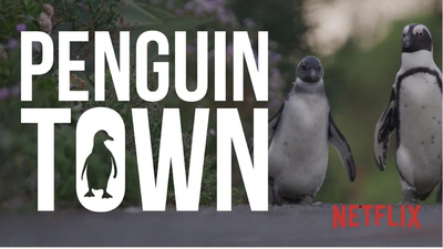 BBC动画片《企鹅小镇 Penguin Town》第一季 国语中英双字 全8集MP4下载 - 少儿专区