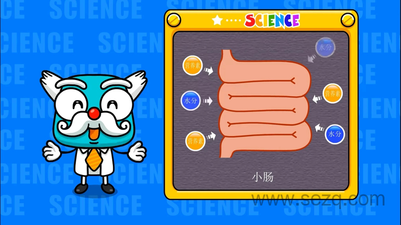 身体秘密 - 动画资源画廊第1张