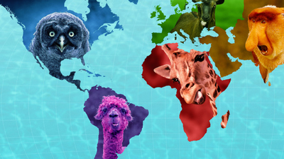 Netflix动画片《怪诞星球 AbsurdPlanet》第一季 英语中字 全12集MKV下载 - 少儿专区